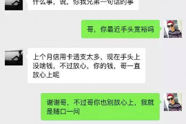 辽源为什么选择专业追讨公司来处理您的债务纠纷？